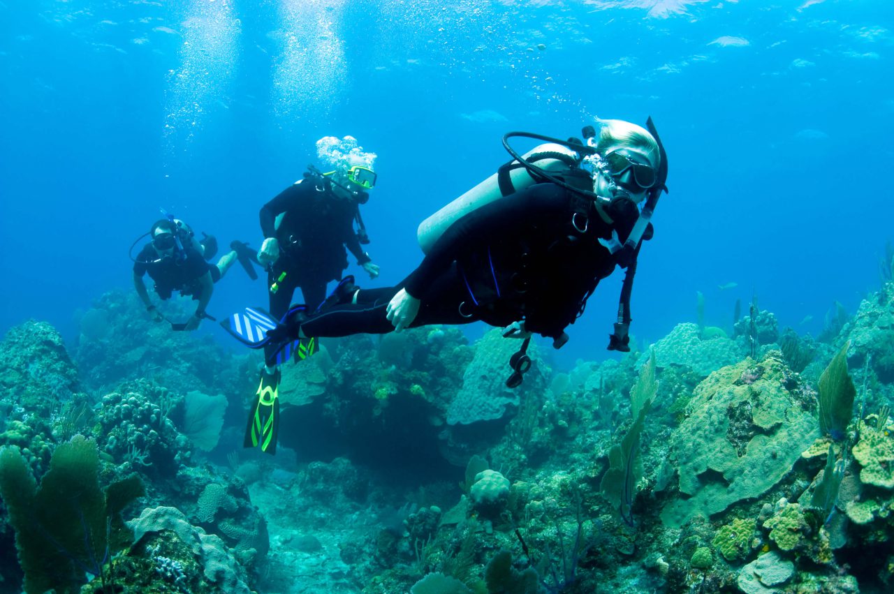 Cursos PADI | Dive With Jose